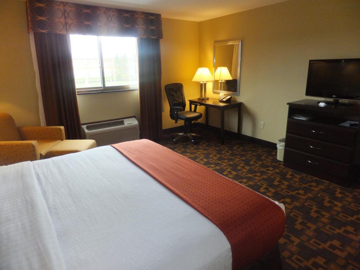 Holiday Inn Mount Prospect-Chicago Pokój zdjęcie